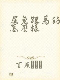 属兔跟马的运气怎么样