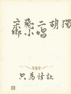 宋飞二胡独奏水乡小唱封面