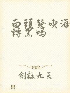 白头发吃海带能转黑吗封面