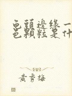 龟头边缘一圈白色颗粒是什么