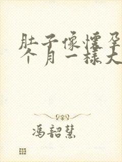 肚子像怀孕四五个月一样大正常吗封面