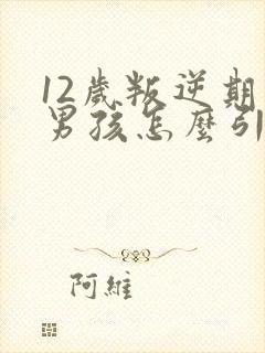 12岁叛逆期的男孩怎么引导