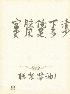 宫腔镜下清宫的费用是多少