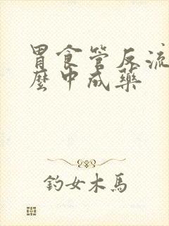 胃食管反流用什么中成药