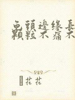 龟头边缘长出小颗粒不痛不痒封面