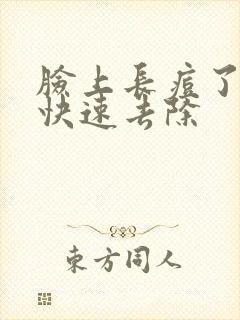 脸上长痘了怎么快速去除