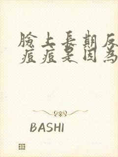 脸上长期反复长痘痘是因为什么原因引起的