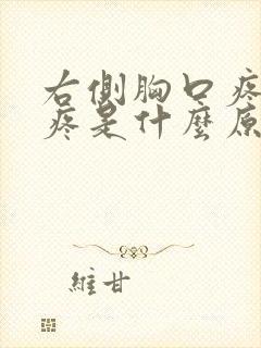 右侧胸口疼后背疼是什么原因封面