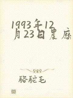1993年12月23日农历男孩命运