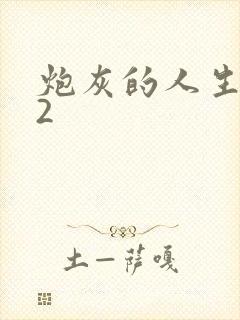 炮灰的人生快穿2