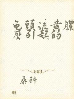 龟头流黄脓是什么引起的封面