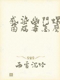 感染幽门螺旋杆菌病毒怎么办