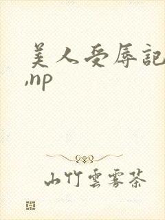 美人受辱记(h,np