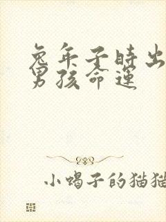 兔年子时出生的男孩命运