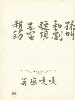 赵又廷和孙俪演的电视剧叫什么名字