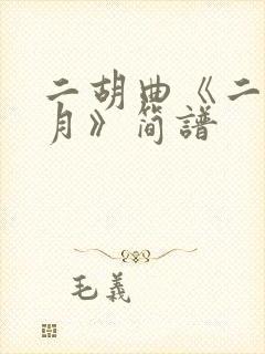 二胡曲《二泉映月》简谱