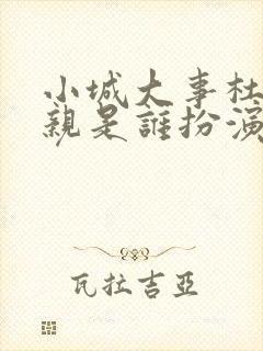 小城大事杜涛母亲是谁扮演的