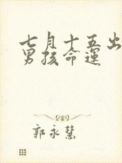 七月十五出生的男孩命运封面