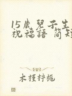 15岁儿子生日祝福语 简短独特