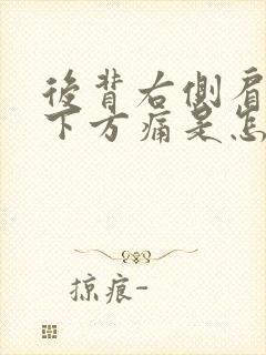 后背右侧肩胛骨下方痛是怎么回事封面