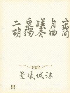 二泉映月宋飞二胡独奏曲简谱