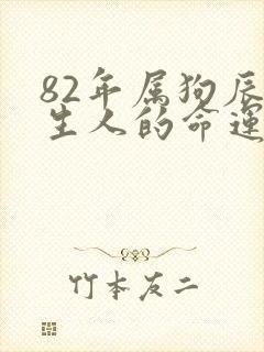 82年属狗辰时生人的命运封面