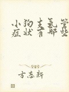 小狗支气管炎的症状有哪些