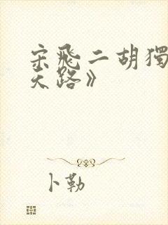 宋飞二胡独奏《天路》