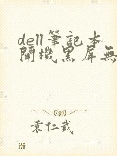 dell笔记本开机黑屏无法唤醒