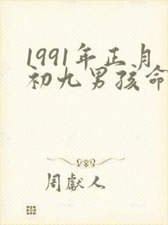 1991年正月初九男孩命运如何
