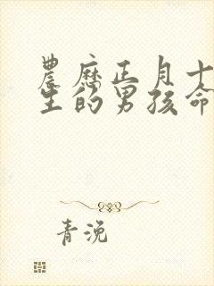 农历正月十五出生的男孩命运