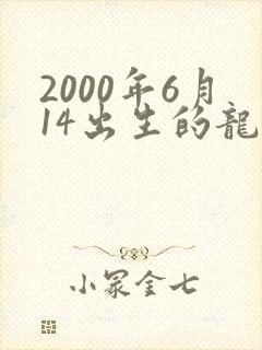 2000年6月14出生的龙命运封面