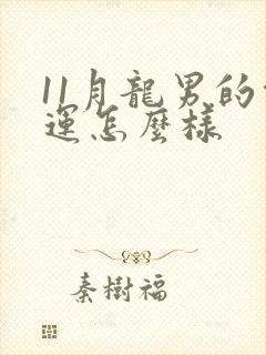 11月龙男的命运怎么样