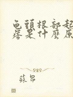 龟头根部起小疙瘩是什么原因封面