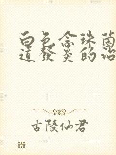 白色念珠菌性阴道发炎的治疗