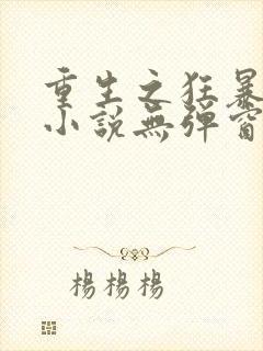 重生之狂暴火法小说无弹窗