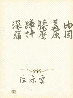 深蹲膝盖内侧疼痛什么原因