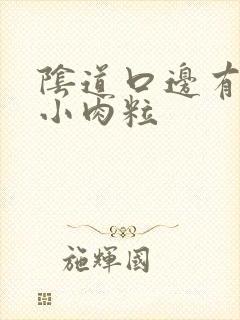 阴道口边有白色小肉粒封面