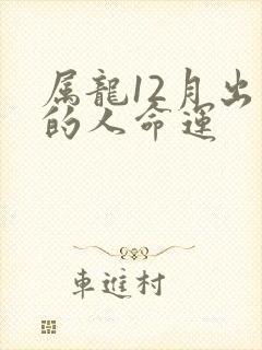 属龙12月出生的人命运封面