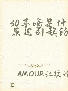 30耳鸣是什么原因引起的