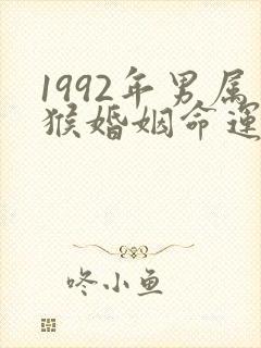 1992年男属猴婚姻命运如何
