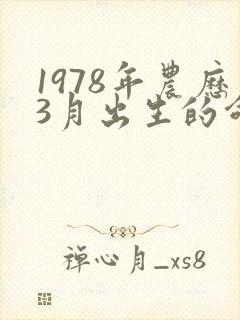 1978年农历3月出生的命运