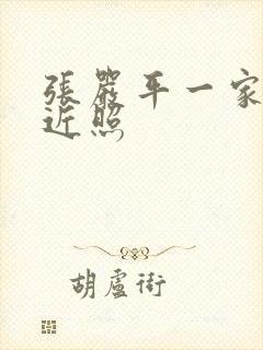 张严平一家三口近照