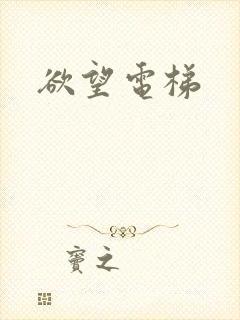 欲望电梯封面