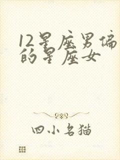 12星座男偏爱的星座女封面