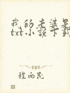 我的老婆是公主txt小说下载