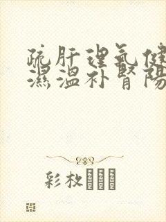 疏肝理气健脾祛湿温补肾阳封面