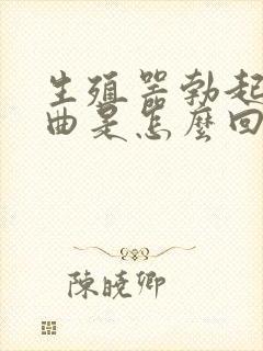 生殖器勃起后弯曲是怎么回事