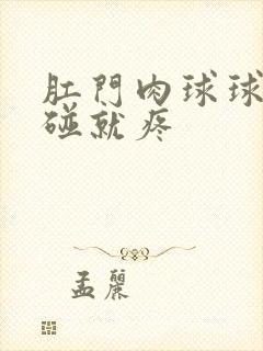 肛门肉球球硬一碰就疼