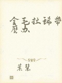 金毛拉稀带血怎么办